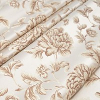 Marguerite-de-valois-fleur-blanc -  